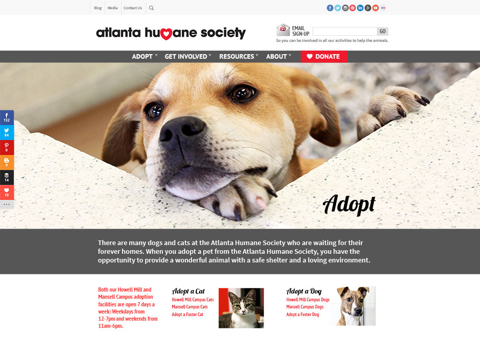 Atlanta Humane Society website 2