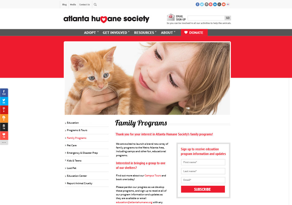 Adopt a Cat  Atlanta Humane Society