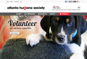 Atlanta Humane Society website design