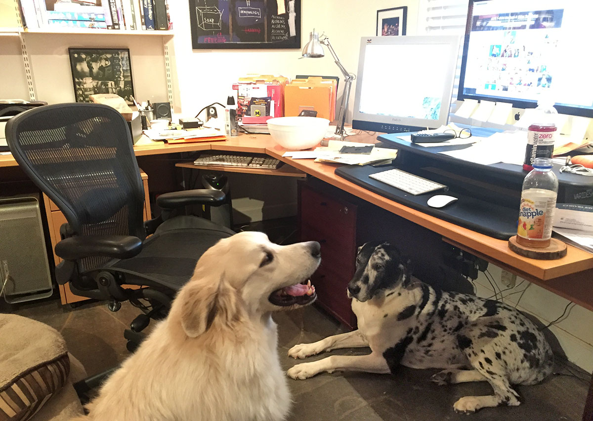 Jasper and Sam at my desk